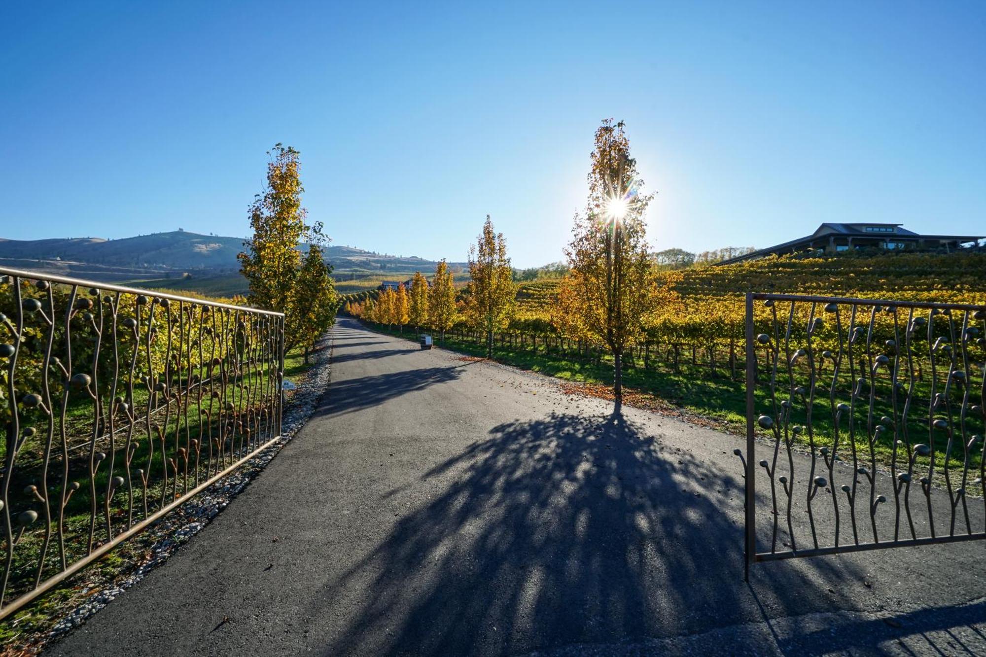 Royal View On Lakeshore Chelan Bagian luar foto